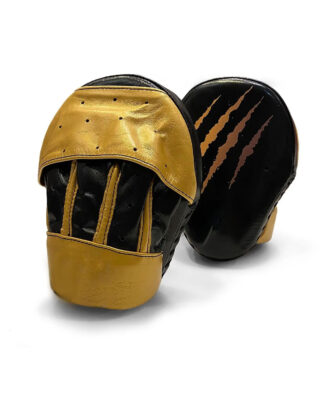 Premium Focus Pad Training Gear